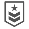 gray military badge icon